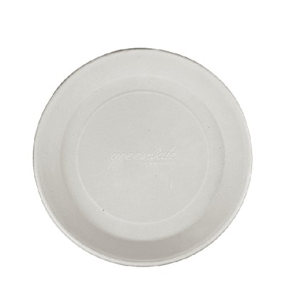 Disposable serving Plate - 9in - Pack of 25